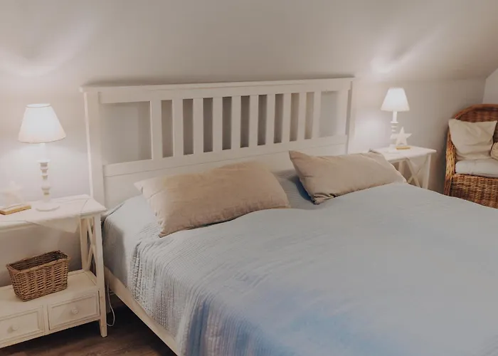 Friedas Hus * بوسم